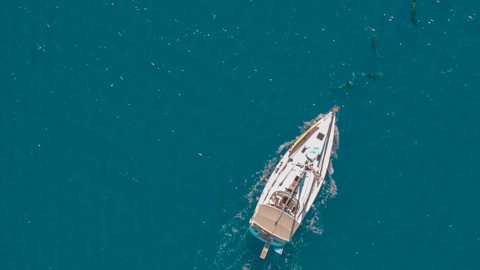 Aerial of a sailing yacht under way on teal water with dolphins swimming ahead of the bow, Halkidiki sailing